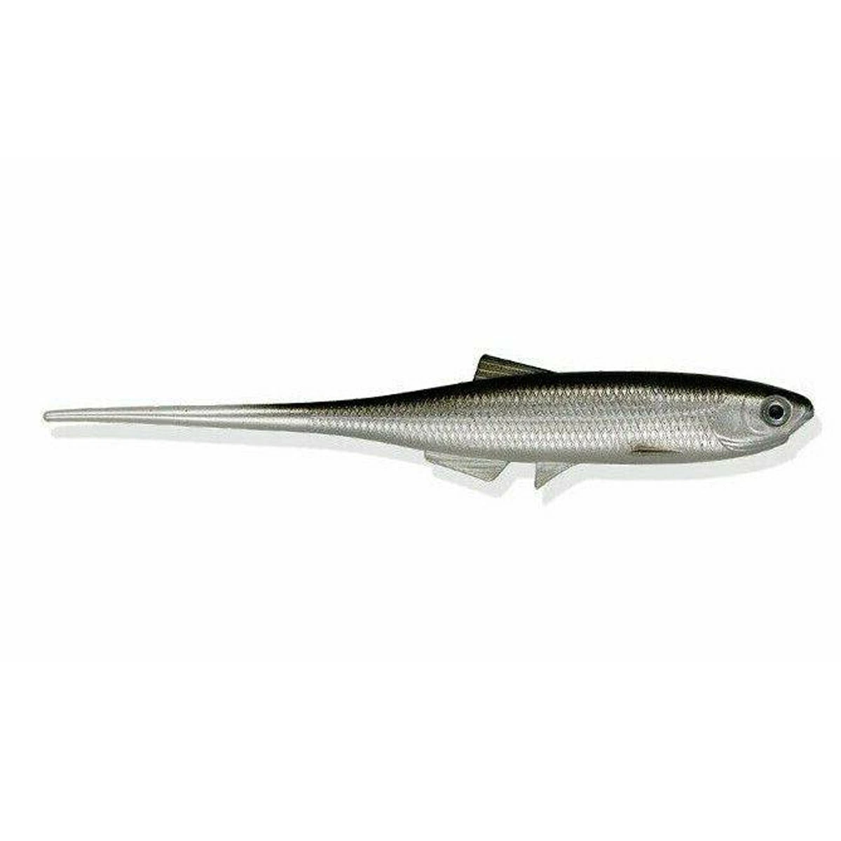 LMAB Kofi Bleak Pintail 7 Cm 5 LMAB Kofi Bleak Pintail 7 Cm - Image 3
