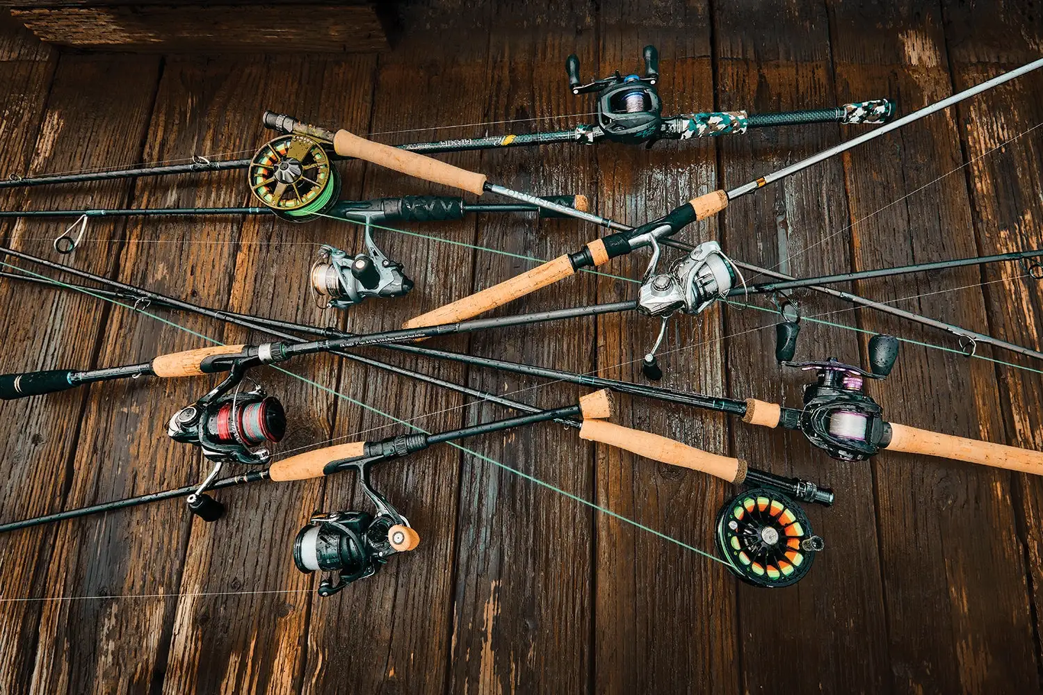 Voorpagina 2 Voorpagina -Fishing Reels Winkel 564585